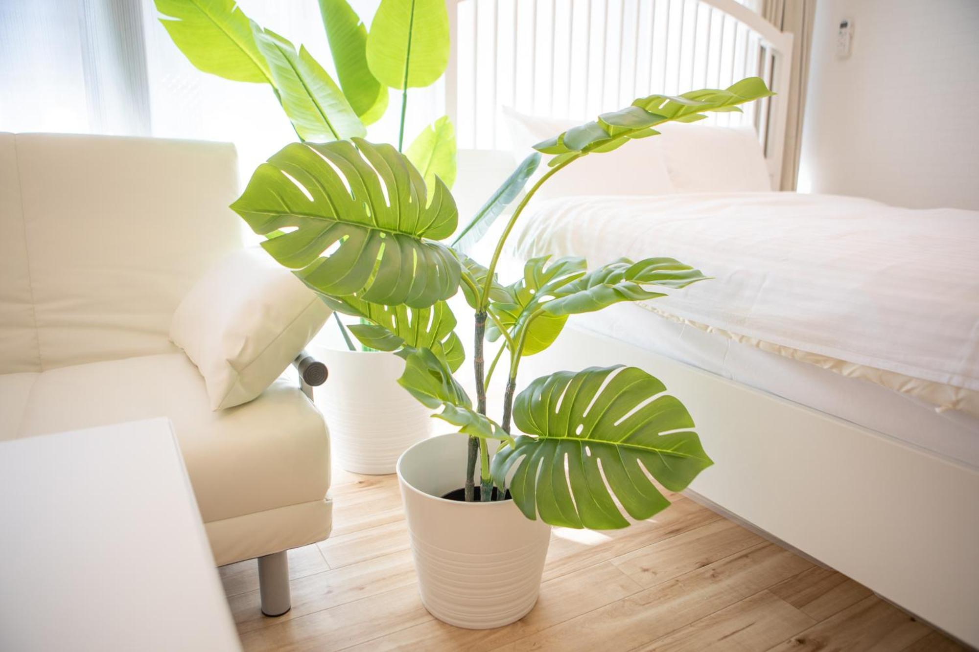 Komagome Cozy Room Τόκιο Δωμάτιο φωτογραφία